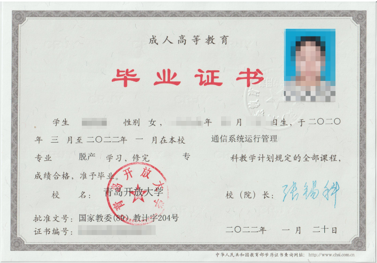成考答疑｜成人高考就是函授吗？二者的关系是什么？薛城成考网
